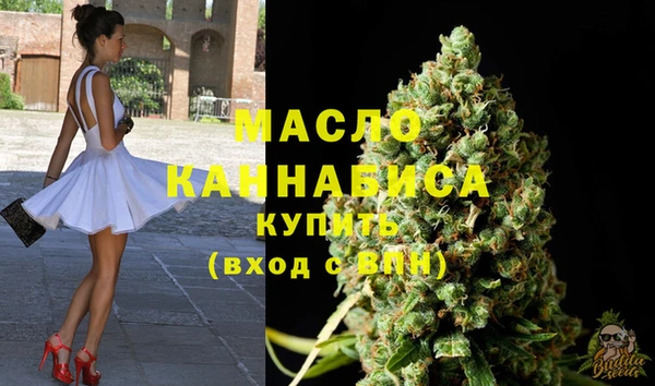 гашик Вязьма