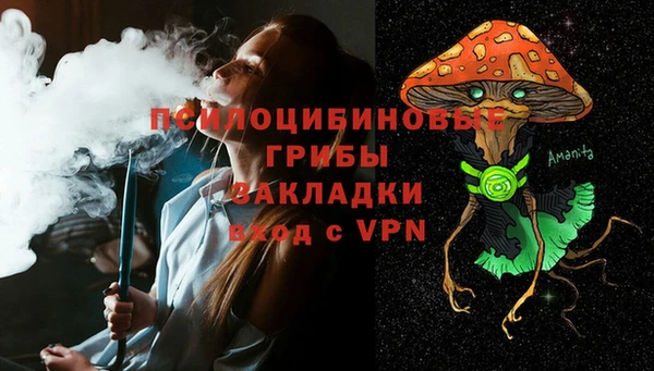 гашик Вязьма