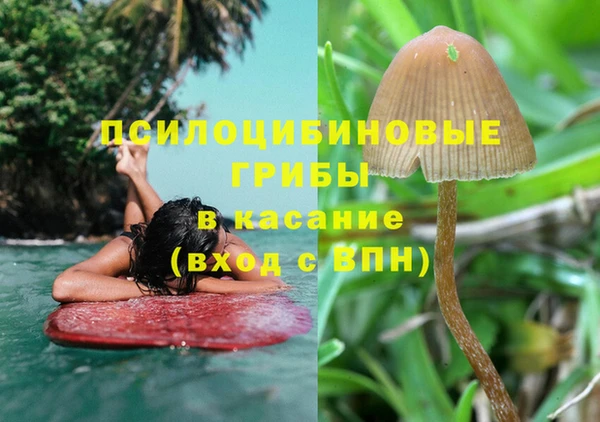 гашик Вязьма