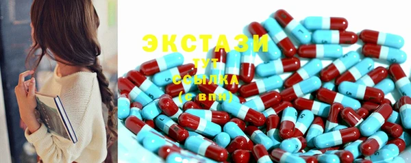 гашик Вязьма