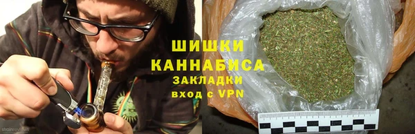 гашик Вязьма