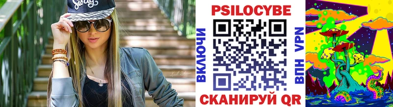 Купить закладки  Тара  Псилоцибиновые грибы Cubensis 